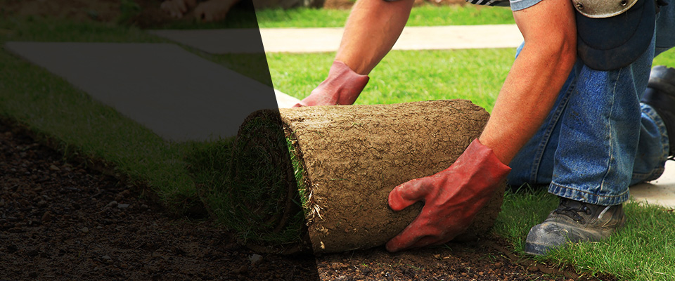Brooklyn Landscapers